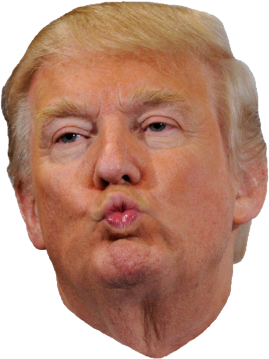 Preview for Donald-trump-portrait-image-election-2024-sticker-89ac5