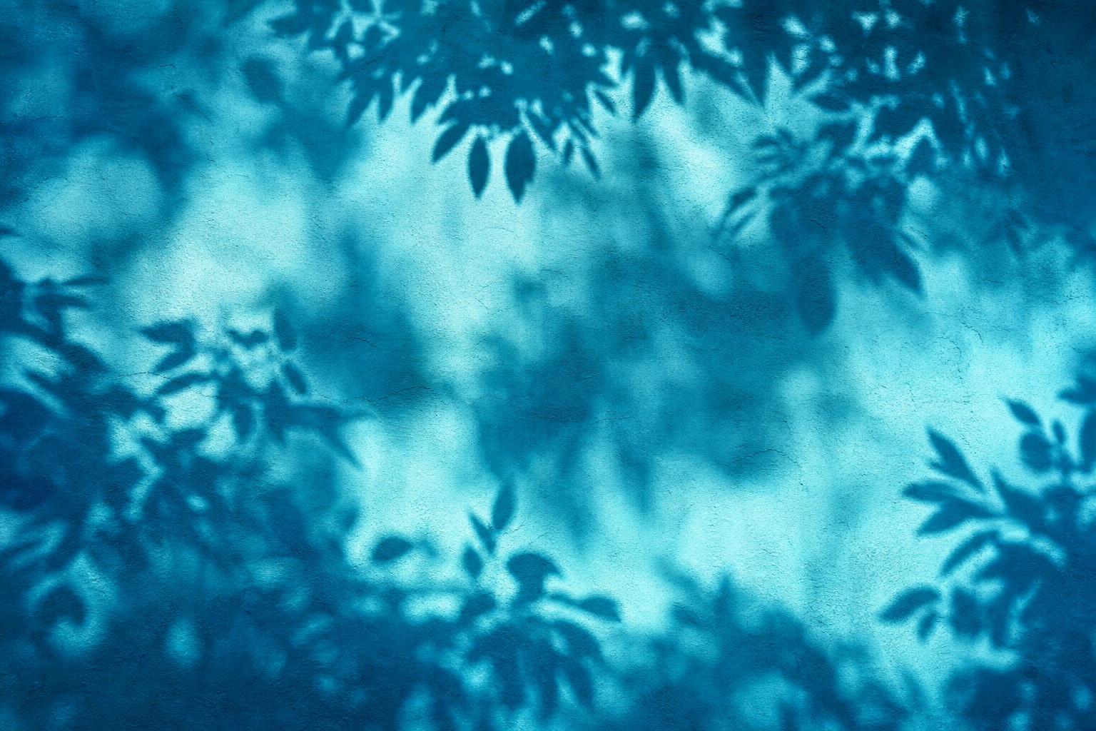 Preview for Aqua Blue Botanical Shadow Background