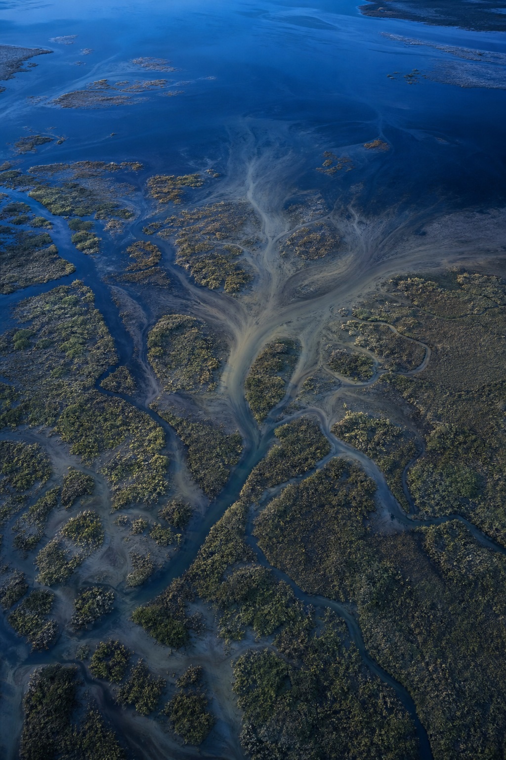 Blue hour aerial view of a river delta with branching water channels and wetland textures.