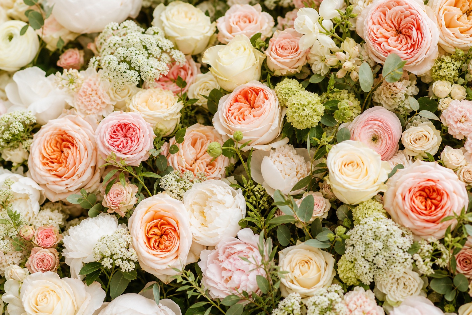 Preview for Ivory Blush Garden Rose Background