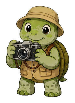 Preview for Turtle Photographer Sticker