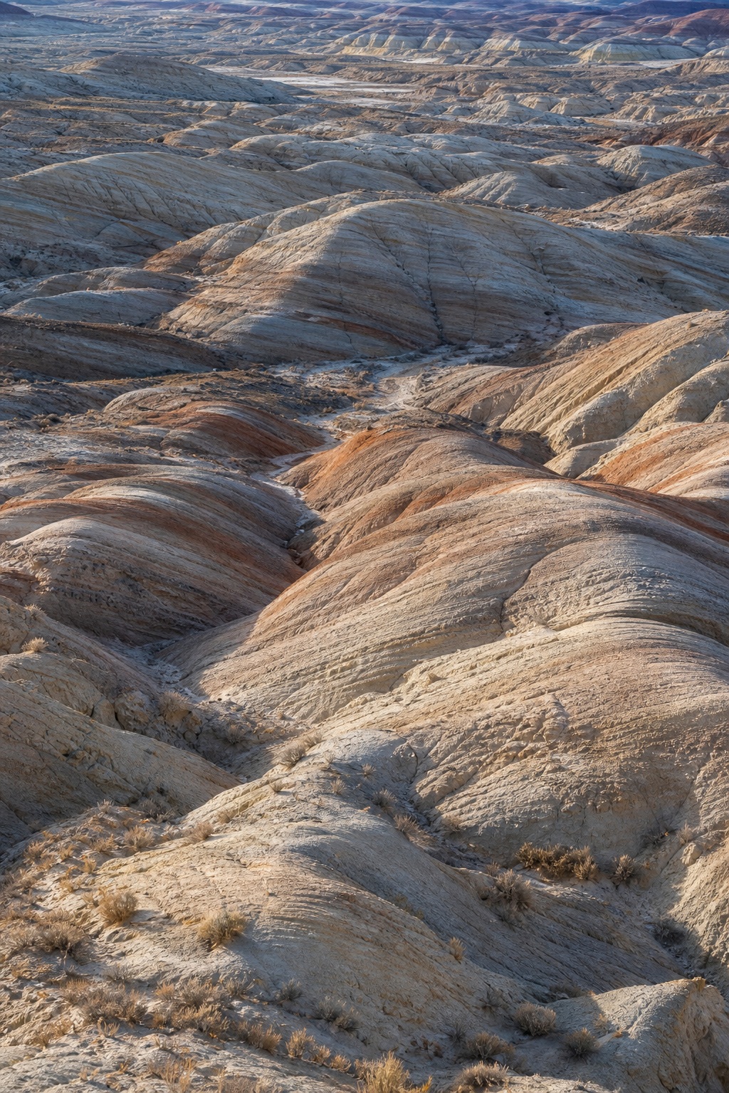 Layered striped sandstone folds in a dry badlands landscape under low winter light.