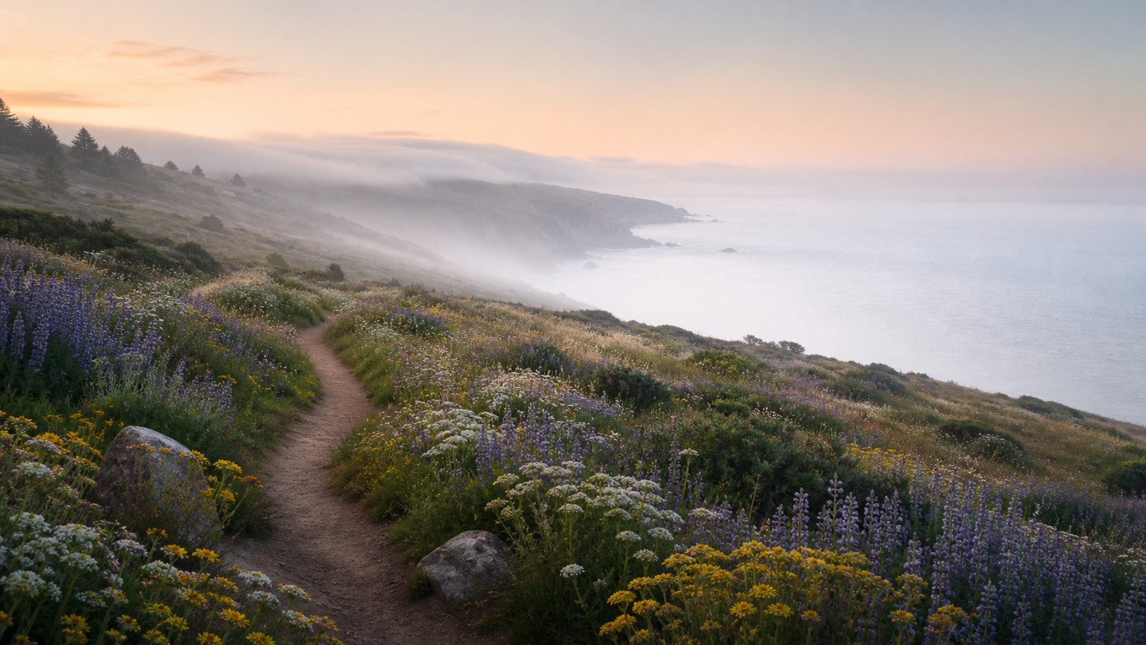 A winding path through wildflowers beside a misty coastal cliff at sunrise.
