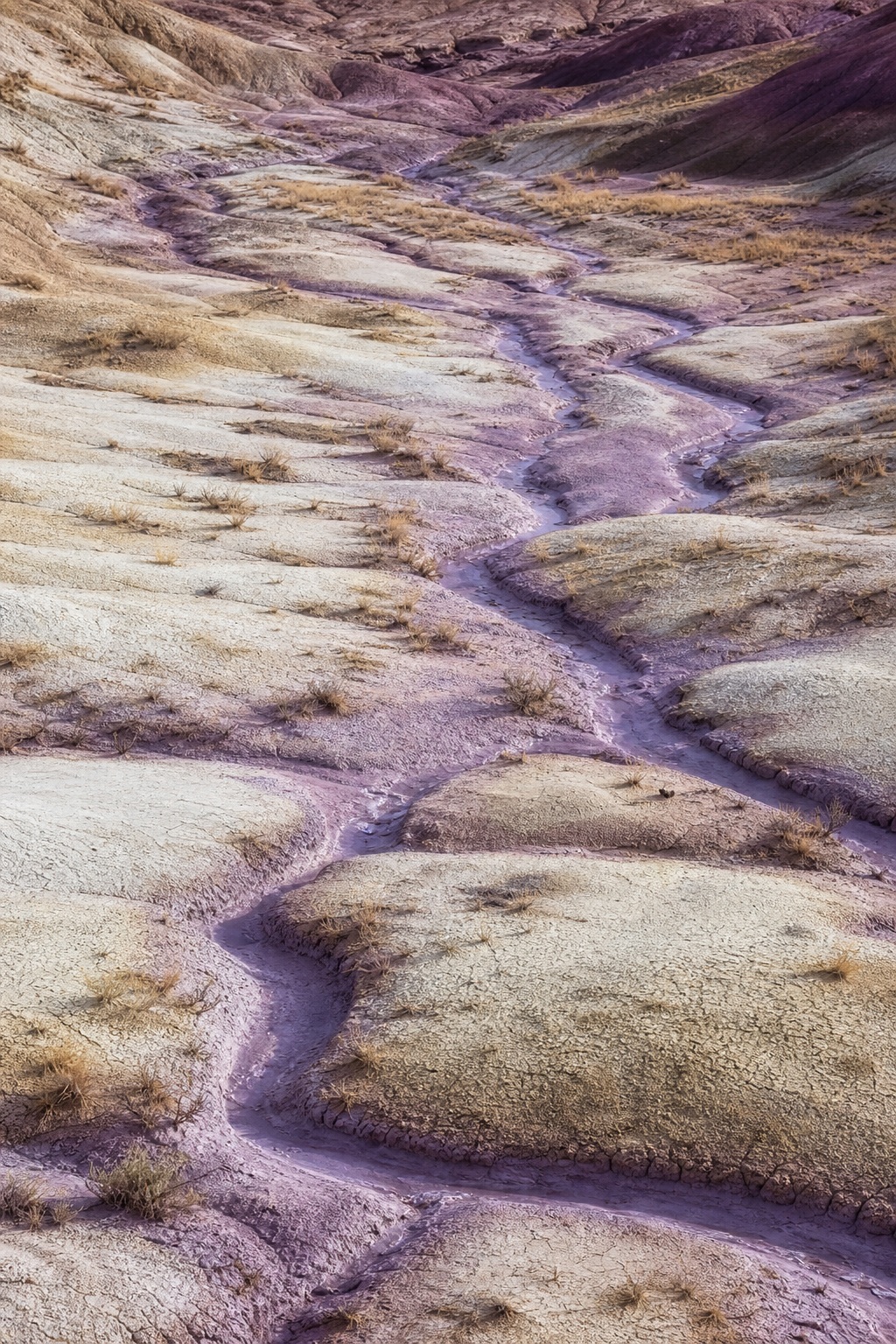 Violet clay channels winding through pale mineral terrain in a dry landscape