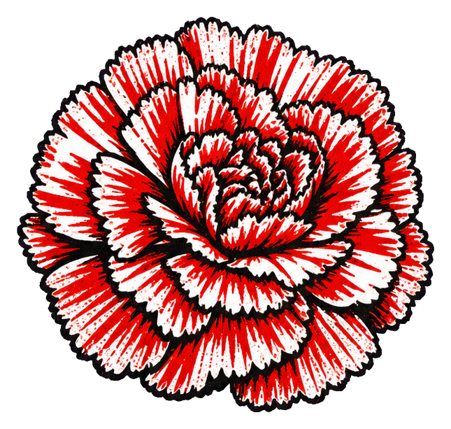 Preview for Red Striped Carnation Sticker