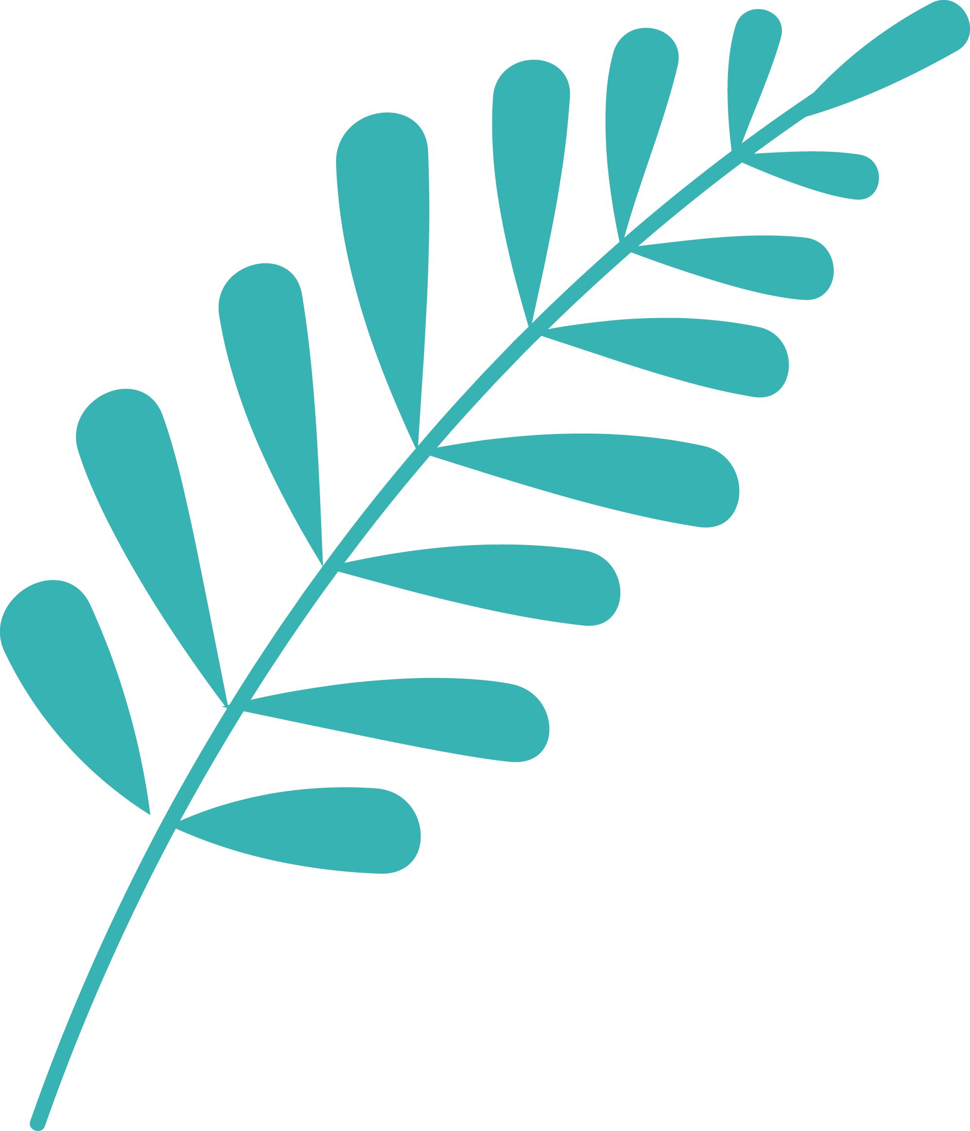 Preview for Modern-leaf-design-element-summer-sticker-896aa