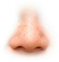 Preview for Glowing-human-nose-closeup-noses-sticker-e3fec