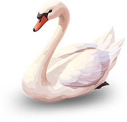 Preview for White-swan-illustration-animal-sticker-4cbef