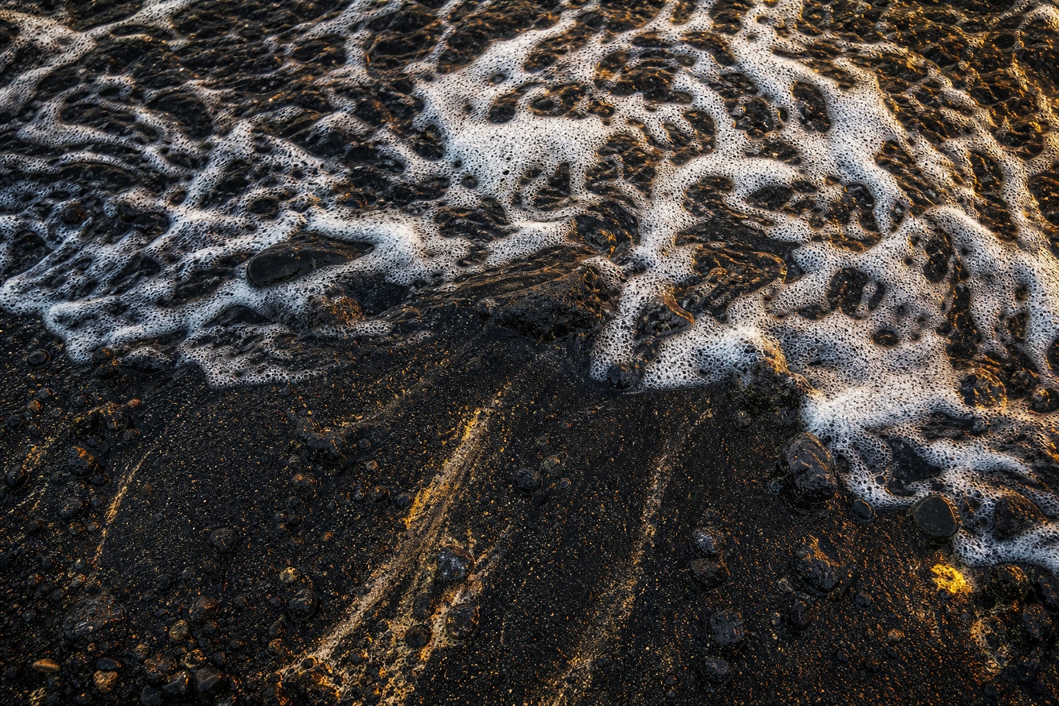Preview for Black Sand Coast Background