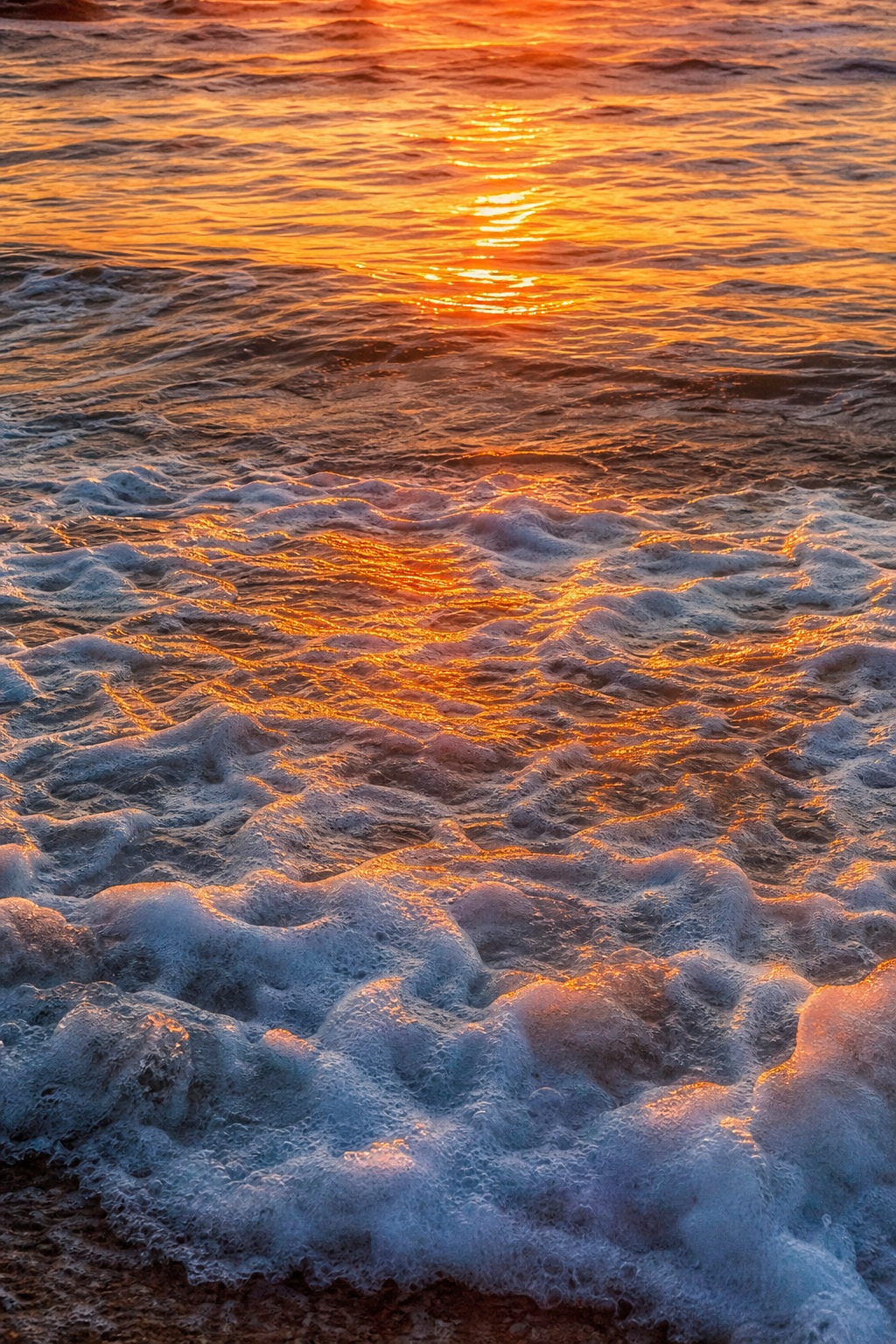 Foamy ocean waves glowing orange under a sunset over the shoreline