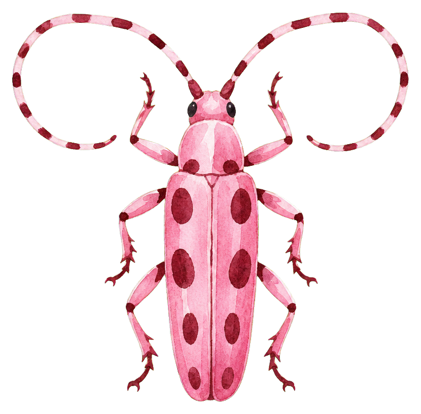 Preview for Rosy Longhorn Beetle Sticker