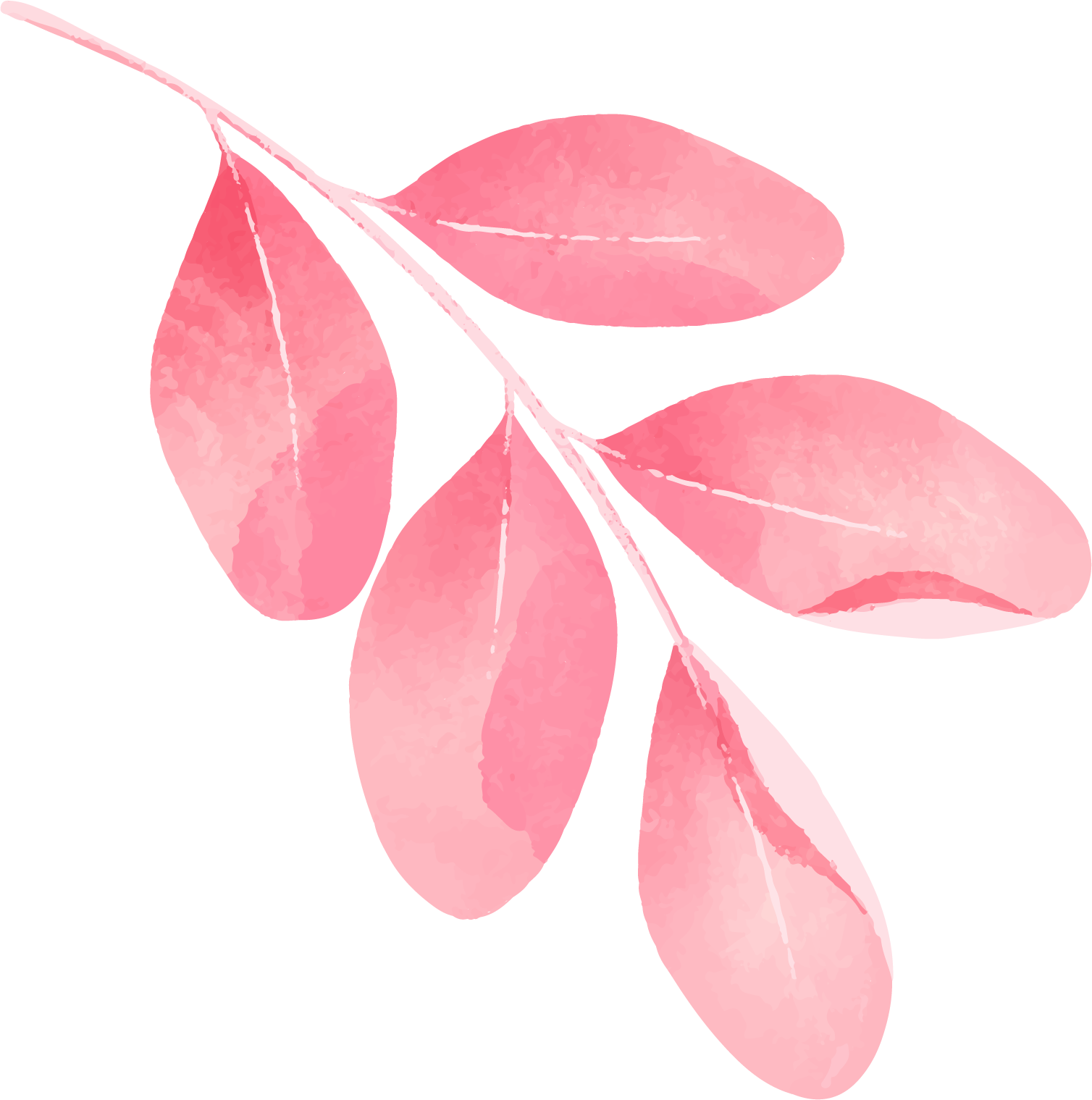 Preview for Pink-leaves-illustration-watercolor-love-sticker-f51ca