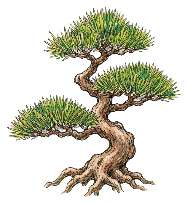 Preview for Pine Bonsai Tree Sticker