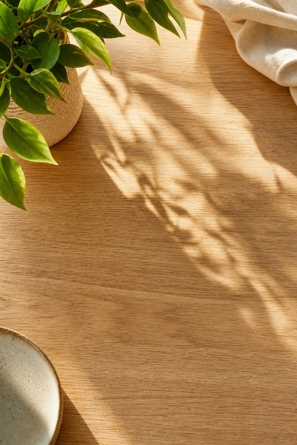 Vertical oak desk surface with leafy plant shadows and a folded cloth in the corner.