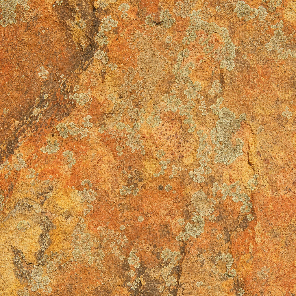 Orange-brown sandstone surface with speckled lichen-like texture and rough rock detail.