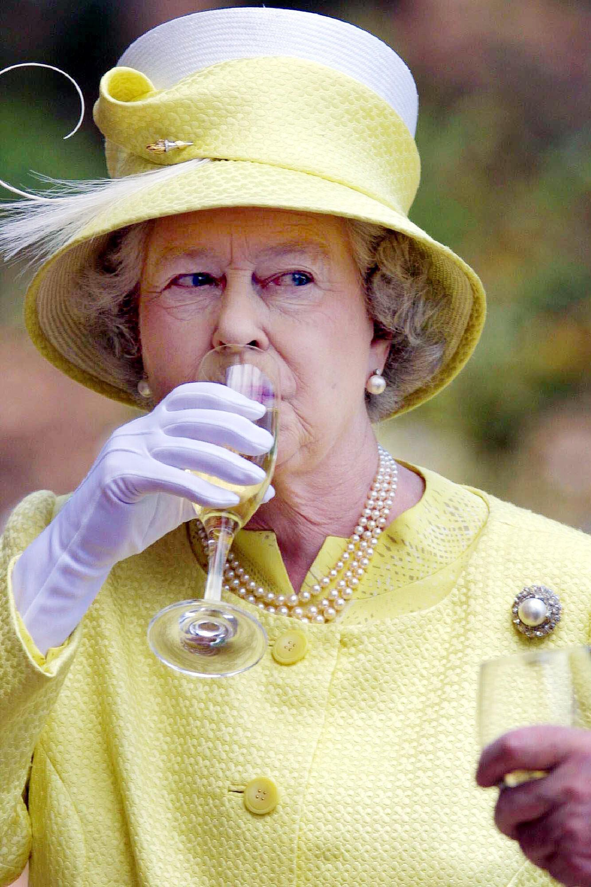 Preview for Queen-elizabeth-champagne-toast-celebrity-meme-background-2541d