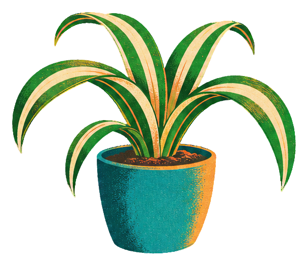 Preview for Risograph Houseplants Spider Plant