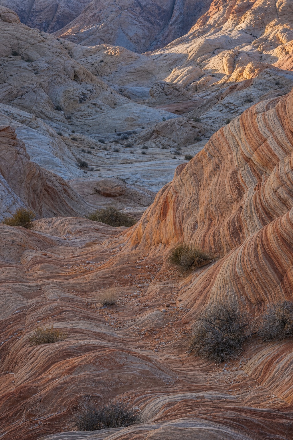 Layered sandstone canyon walls and rocky folds in cool winter light