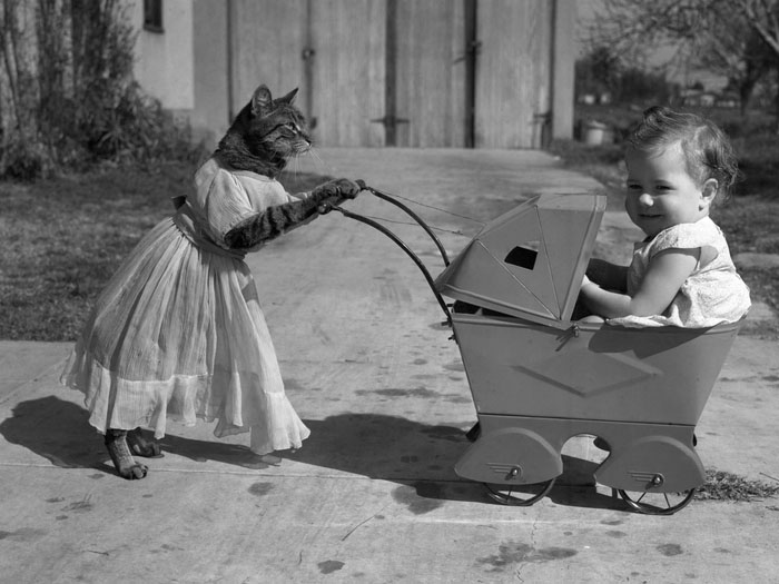 Preview for Vintage-cat-baby-stroller-vintage-meme-background-289ae
