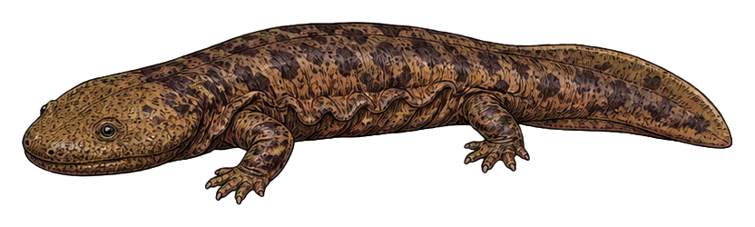 Preview for Hellbender Salamander Vintage Sticker