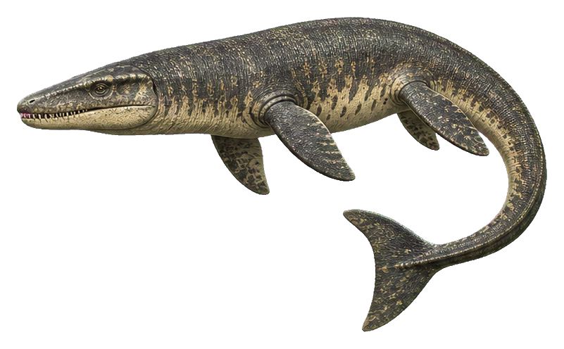 Realistic mosasaurus with a long tail shown as a prehistoric animal sticker