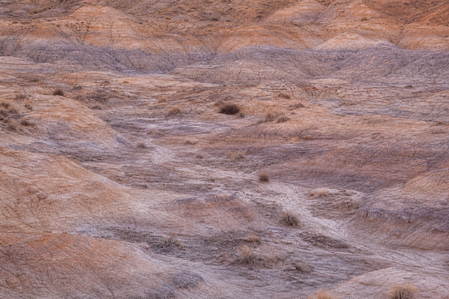 Layered badlands terrain with erosion textures in soft pale dawn light.