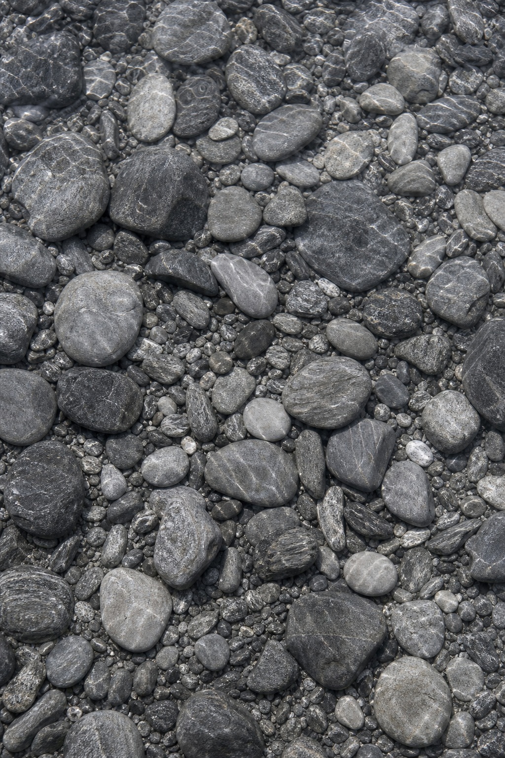 Close-up of smooth monochrome silver pebbles forming a natural stone surface.