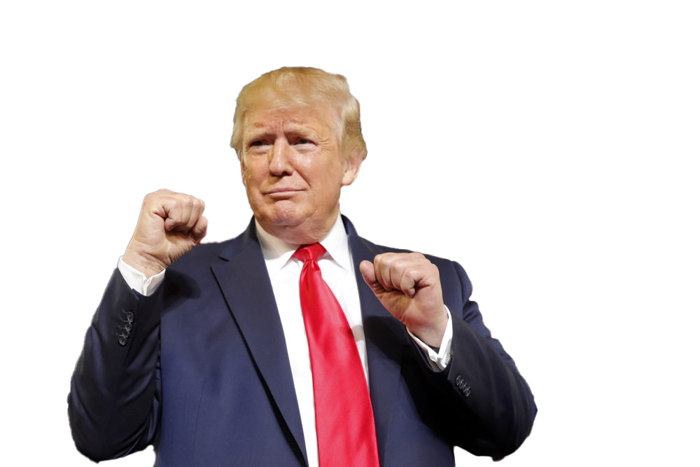 Preview for Donald-trump-pointing-gesture-election-2024-sticker-64683