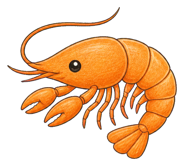 Preview for Orange Shrimp Kawaii Sticker