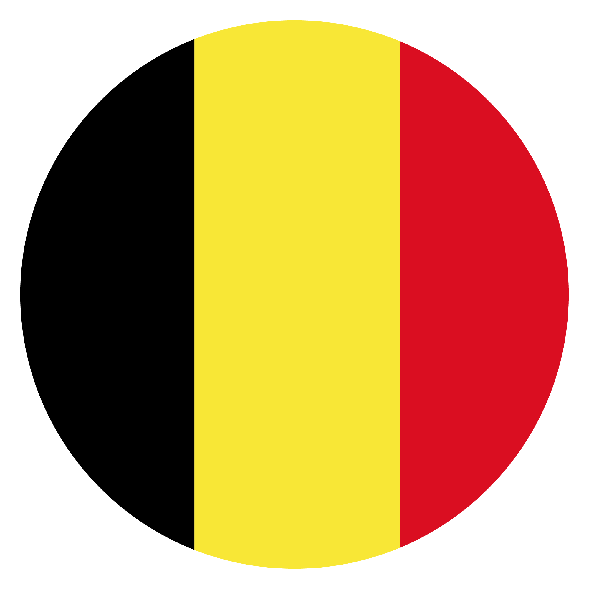 Preview for Belgium-flag-icon-circle-world-cup-sticker-1479c