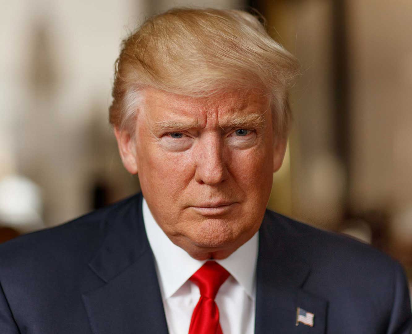 Preview for Donald-trump-official-portrait-election-2024-background-733ac