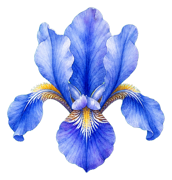 Preview for Blue Watercolor Iris Sticker