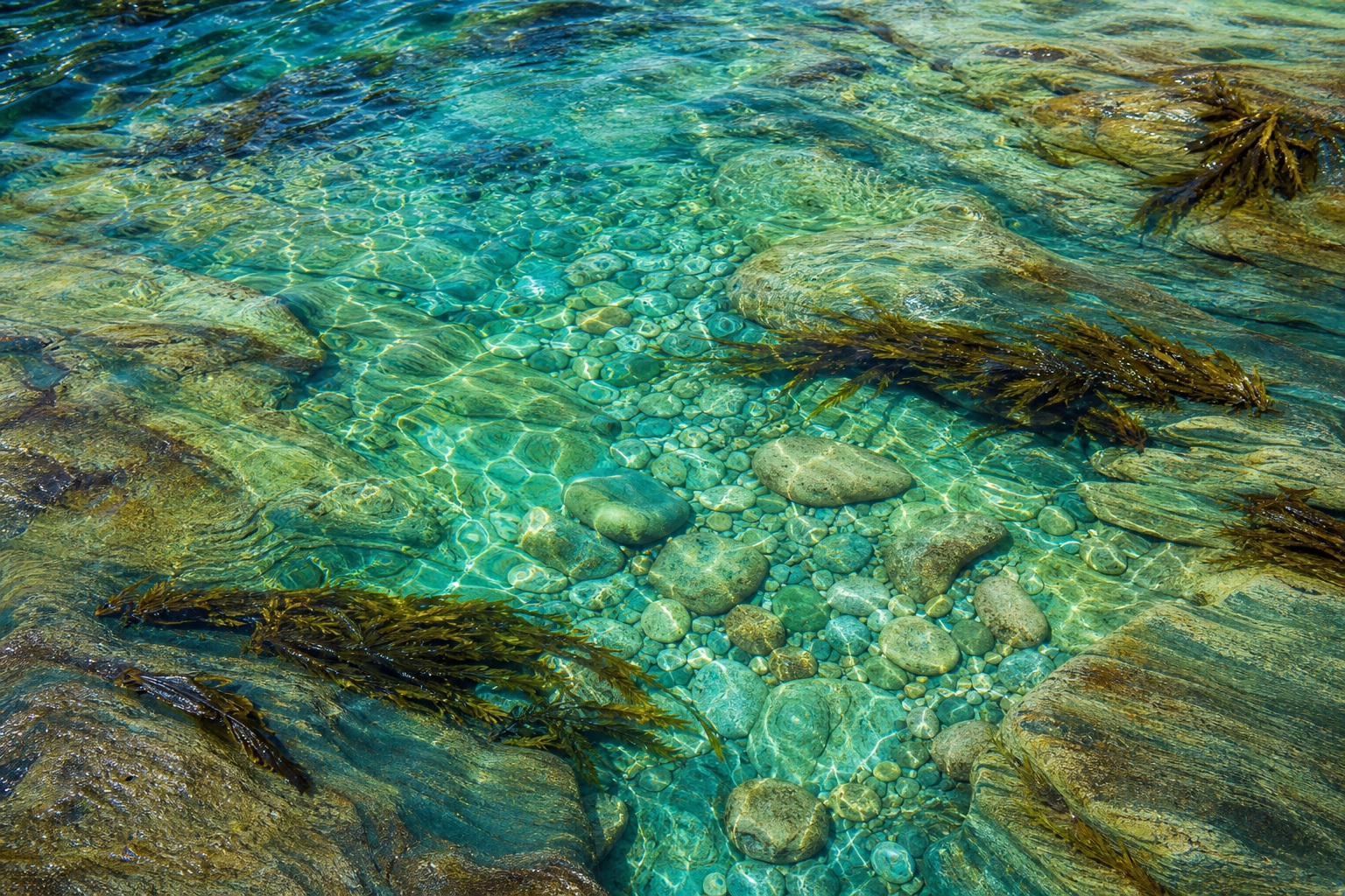 Preview for Turquoise Tide Pool Texture Background
