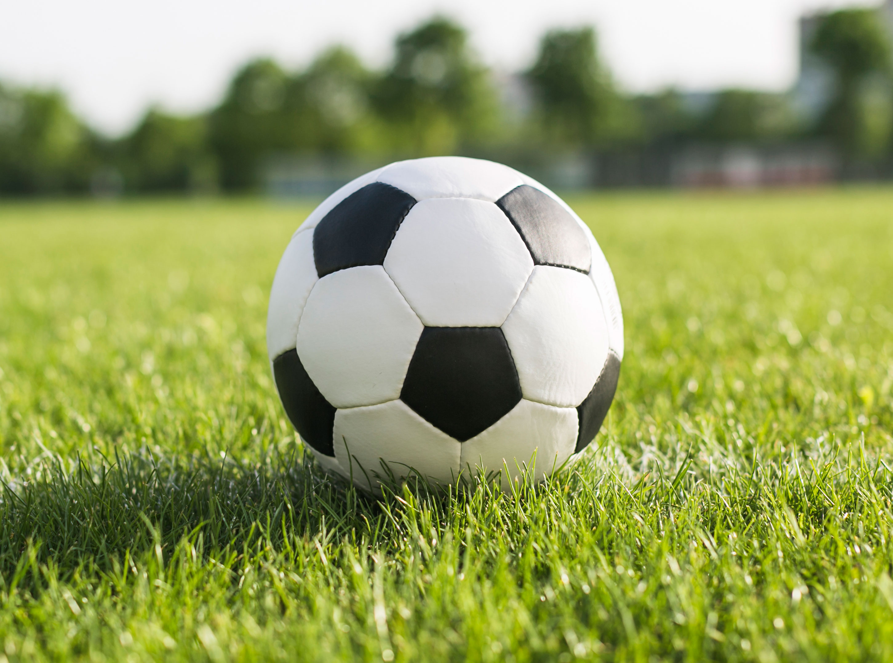 Preview for Soccer-ball-grass-field-background-6f1a5