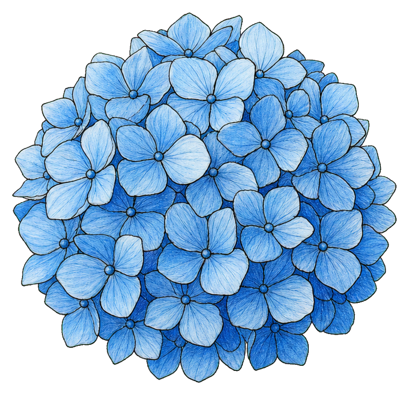 Preview for Blue Hydrangea Bloom Sticker
