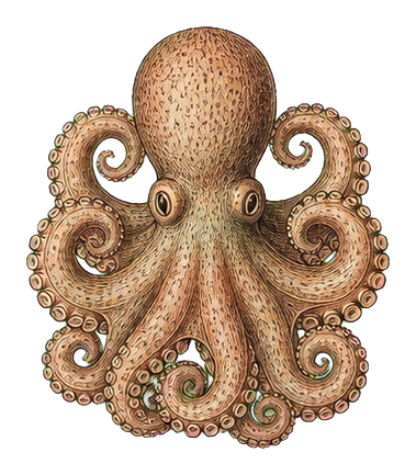 Preview for Vintage Octopus Sticker