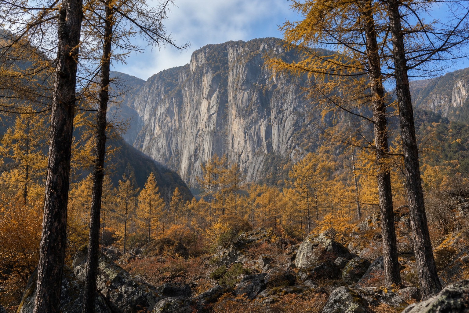 Preview for Autumn Larch Mountain Cliffs Background