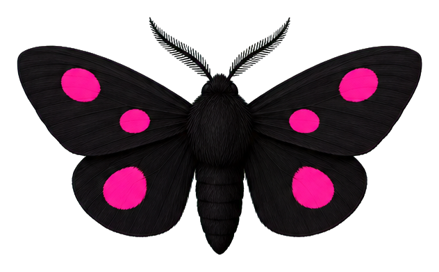 Preview for Pink Spotted Moth Sticker
