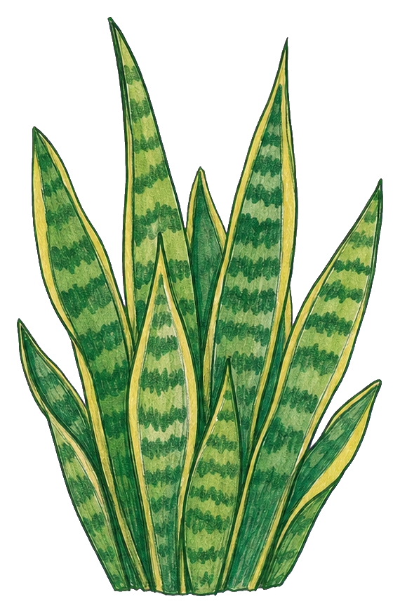 Preview for Snake Plant Cluster Sticker