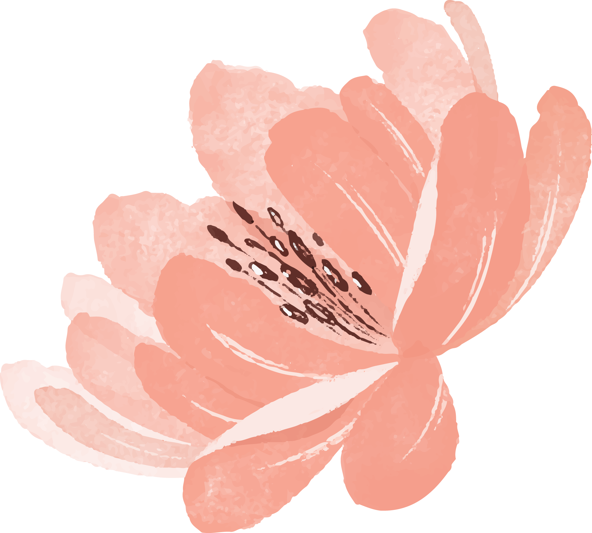 Preview for Pink-flower-illustration-spring-sticker-97b33