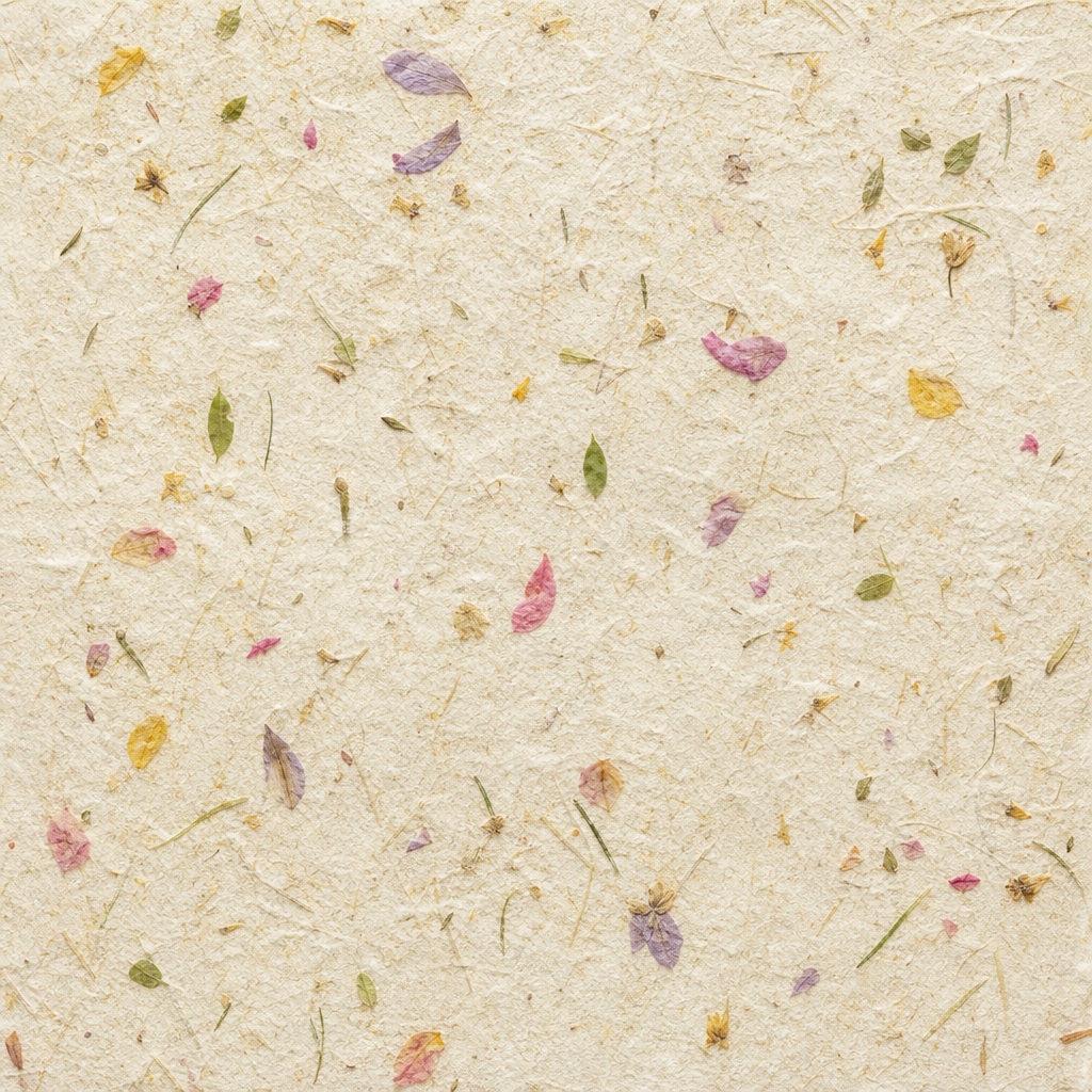 Cream handmade paper texture with scattered pressed square petals