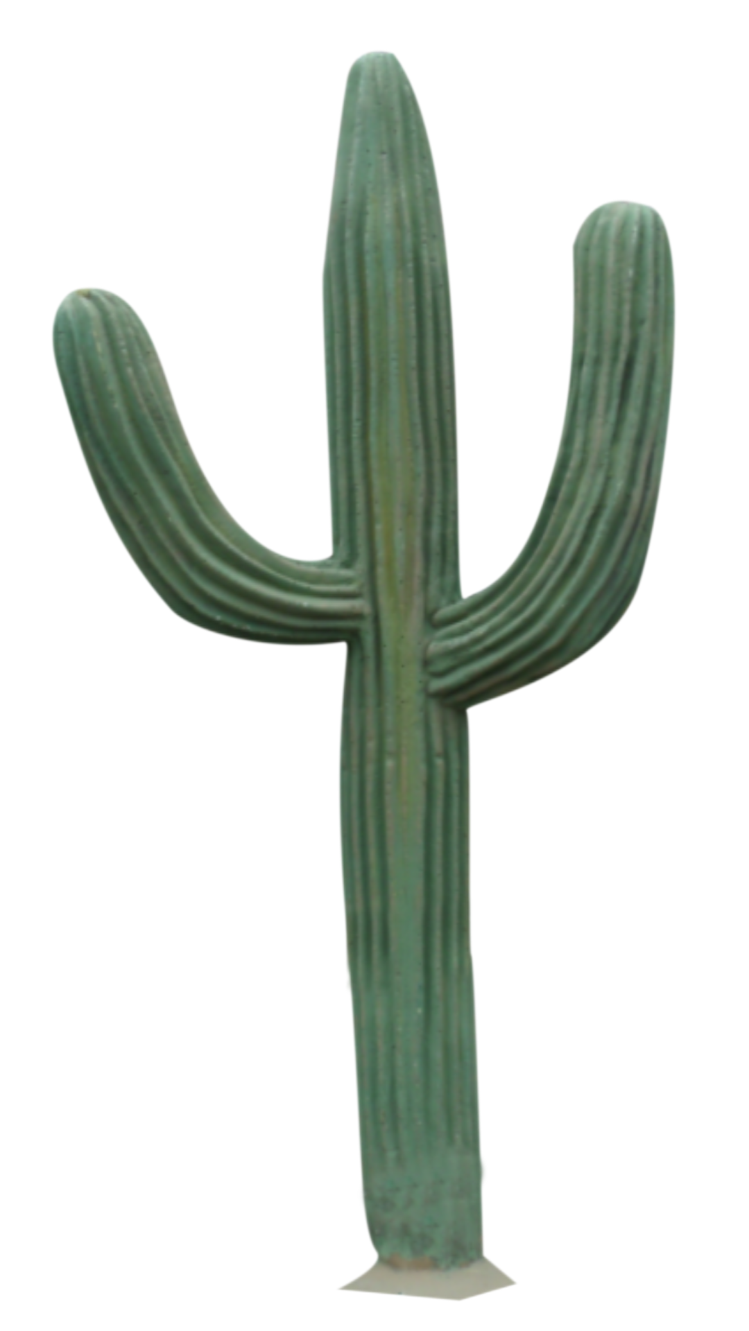 Preview for Saguaro-cactus-image-sticker-50b88