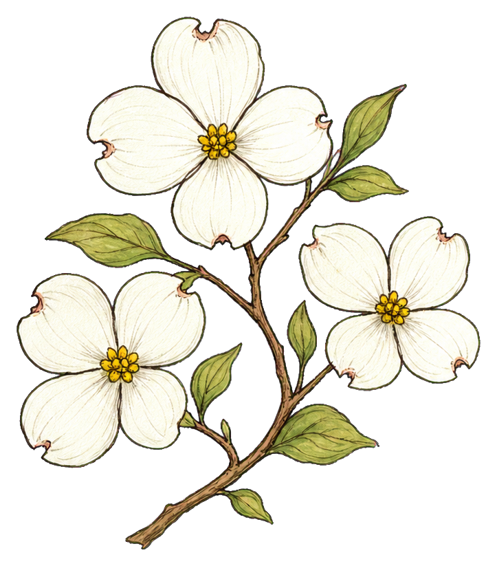Preview for White Dogwood Branch Sticker