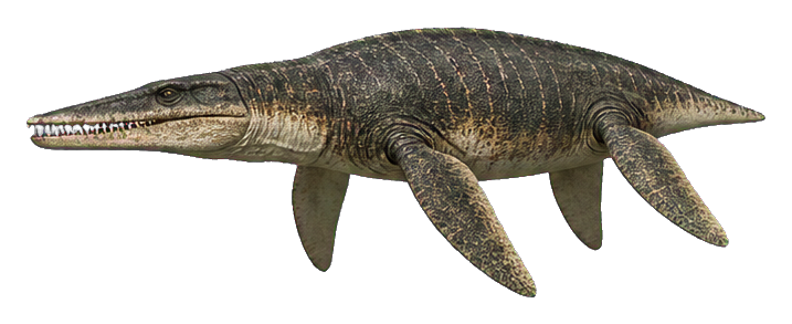 Preview for Short-neck Kronosaurus Titan Sticker