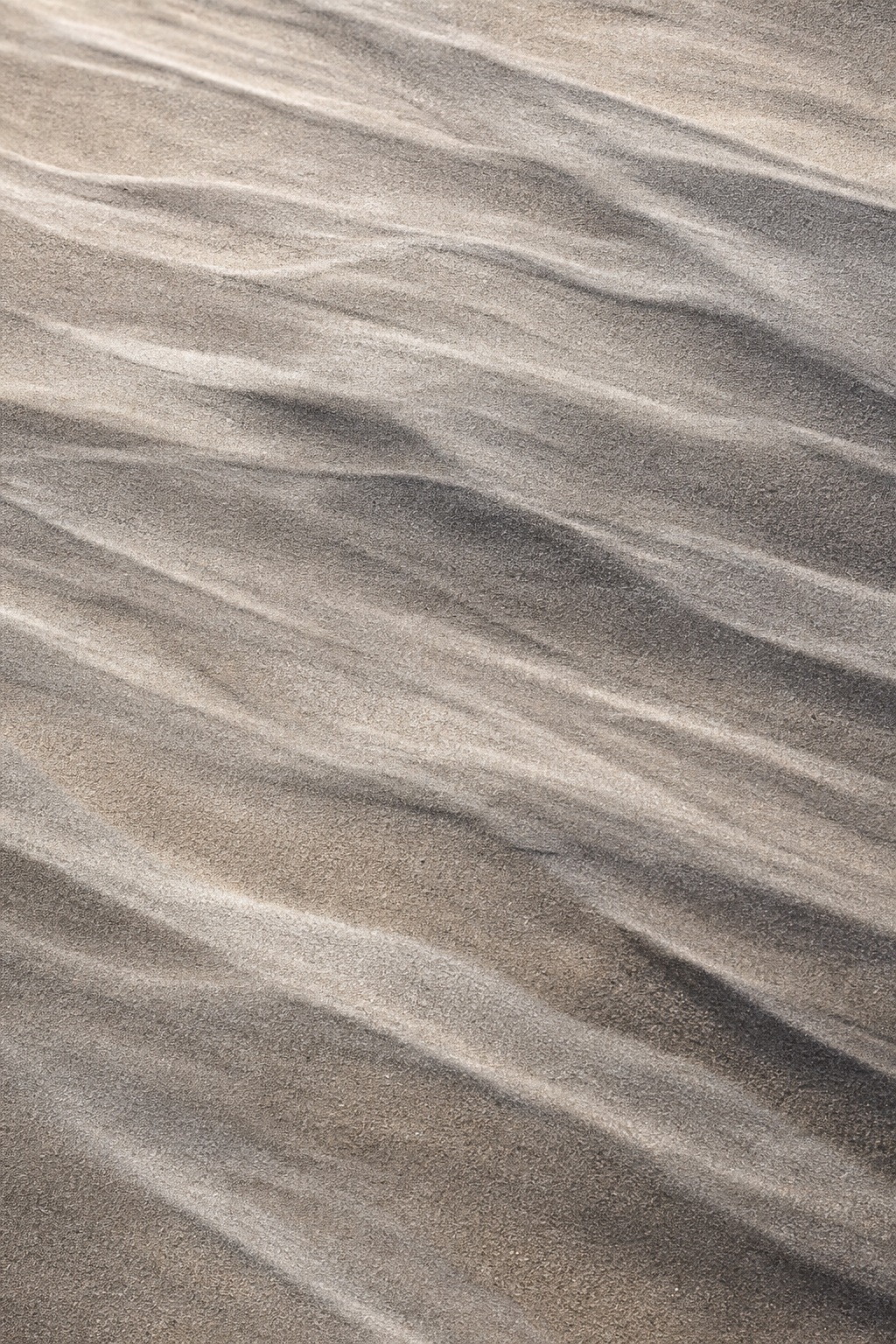 Preview for Wind-carved Sand Texture Background