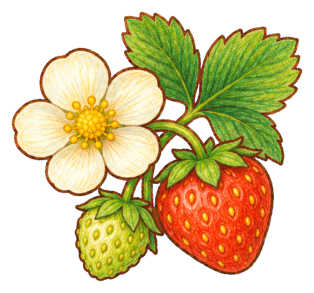 Preview for Strawberry Blossom