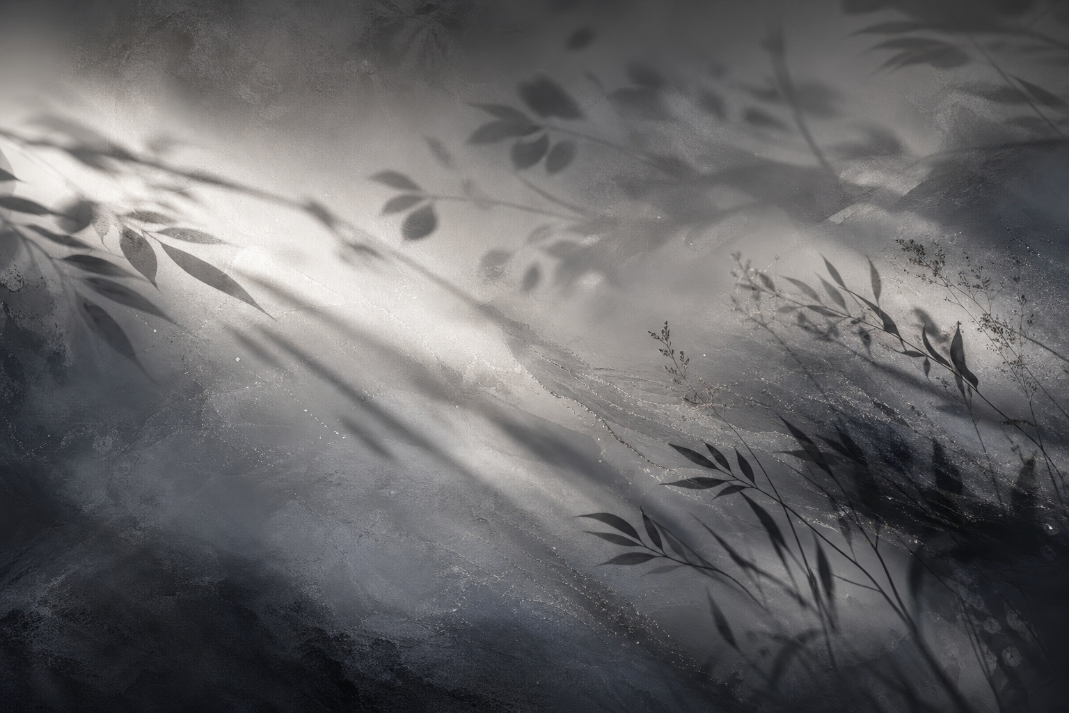 Preview for Charcoal Silver Botanical Shadow Sweep Background