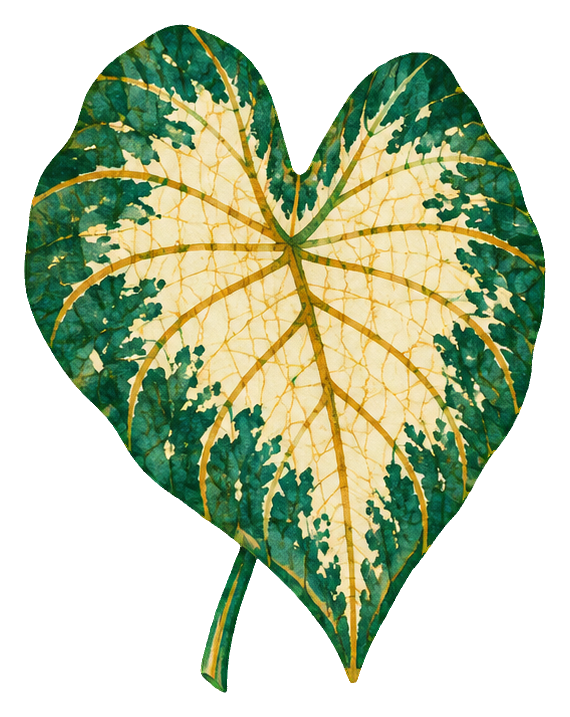 Preview for Batik Tropical Leaves Caladium