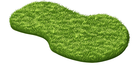 Preview for Green-pea-pod-image-islandobjects-sticker-19d61