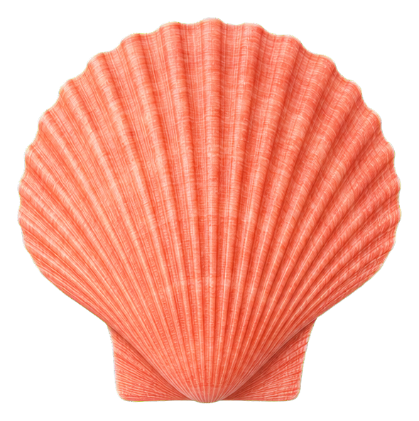 Realistic coral-colored seashell sticker with a ridged fan shape